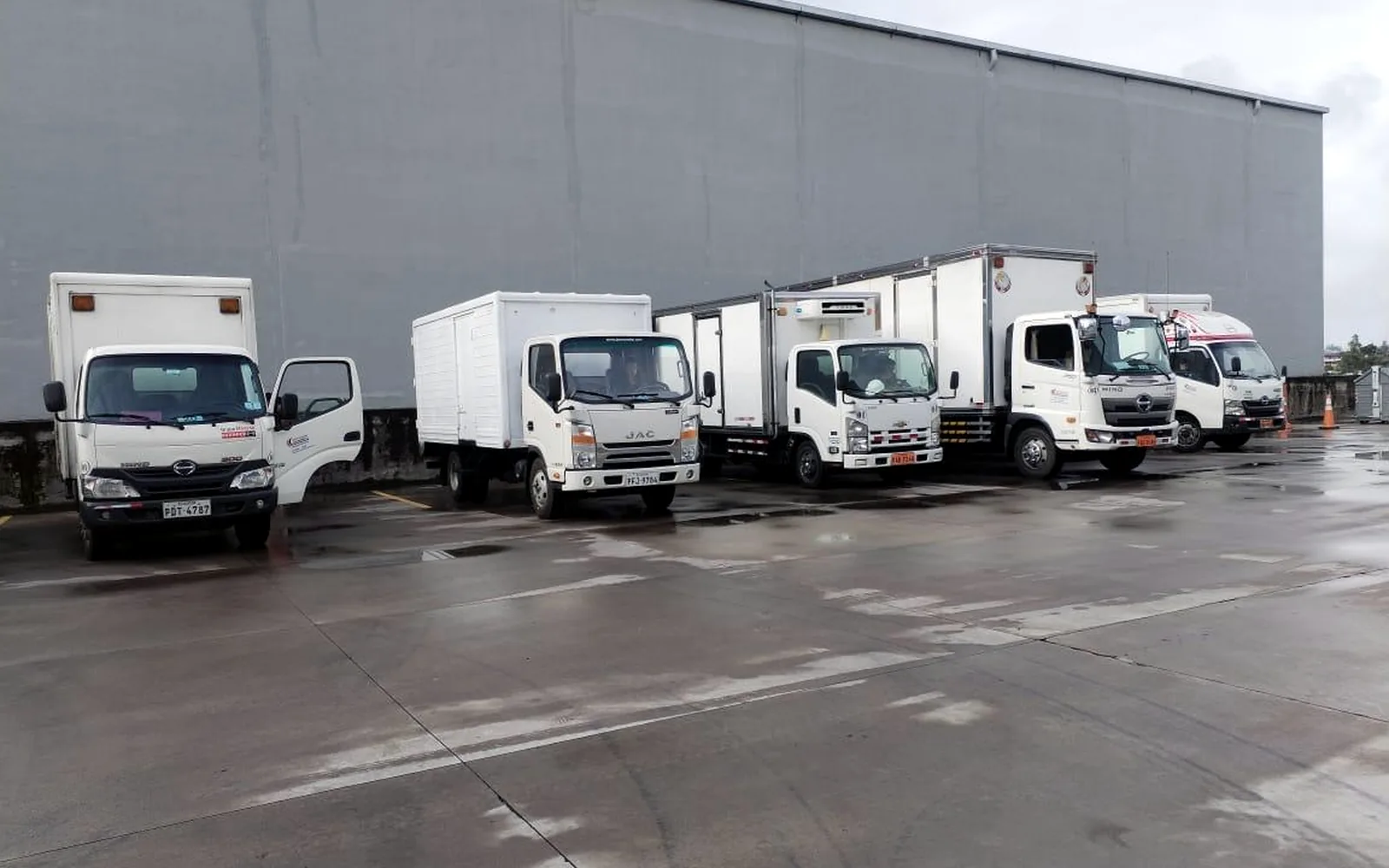 Flota de furgones Curicamahnos lista para distribución nacional